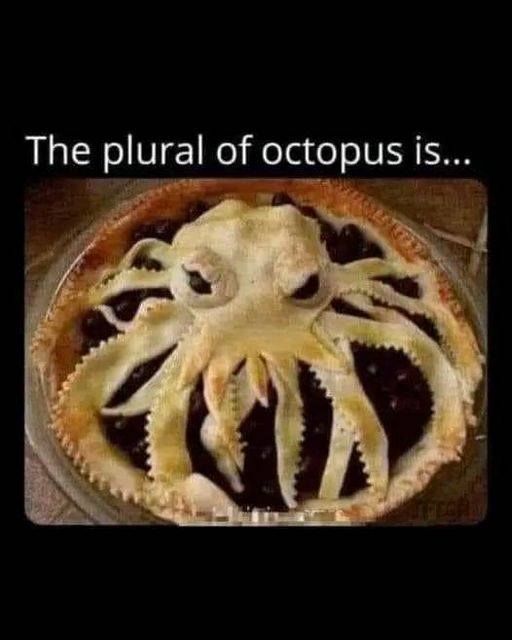 OctoPi Crust
