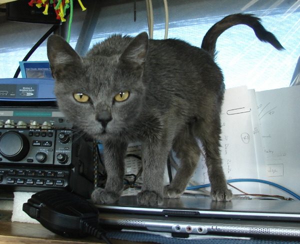 Hurricane Hazel-Rah calling CQ on 40 meters